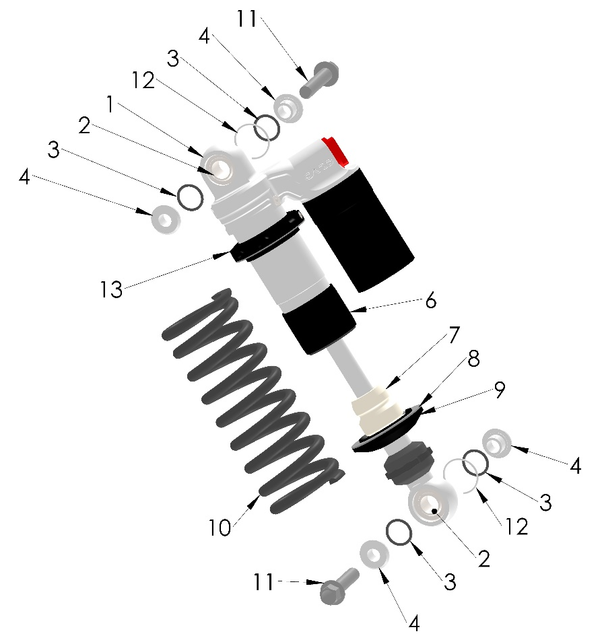 Shock, 2023 Cobra CX5E
