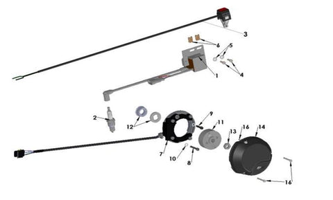 ELECTRICAL SYSTEM - 2022 CX50 JR