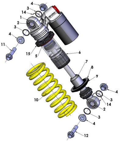 SHOCK - 2021 CX65